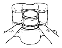 G06868481