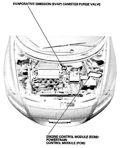 G06950136