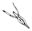 G07040282