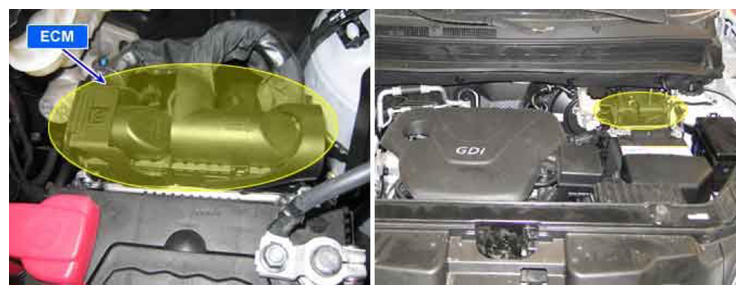 G08333384