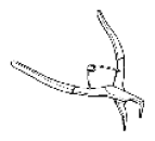 G08899206