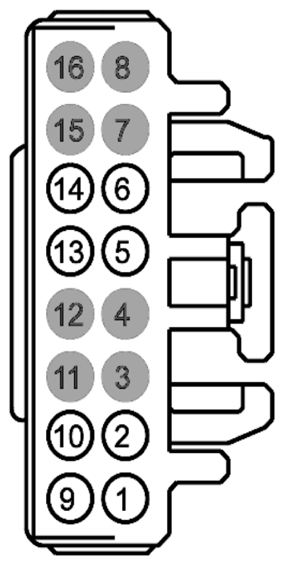 G09224206
