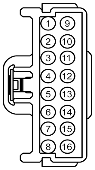 G09253413