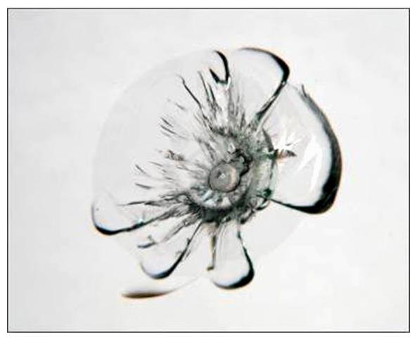 G09408255