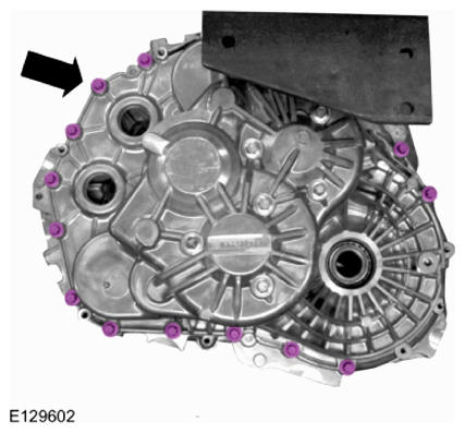 G09551509