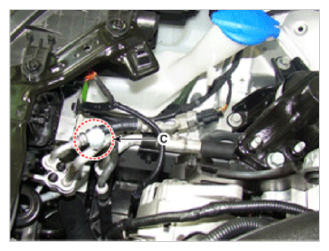 G09745081