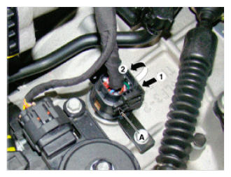 G09764630