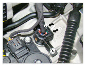 G09765600