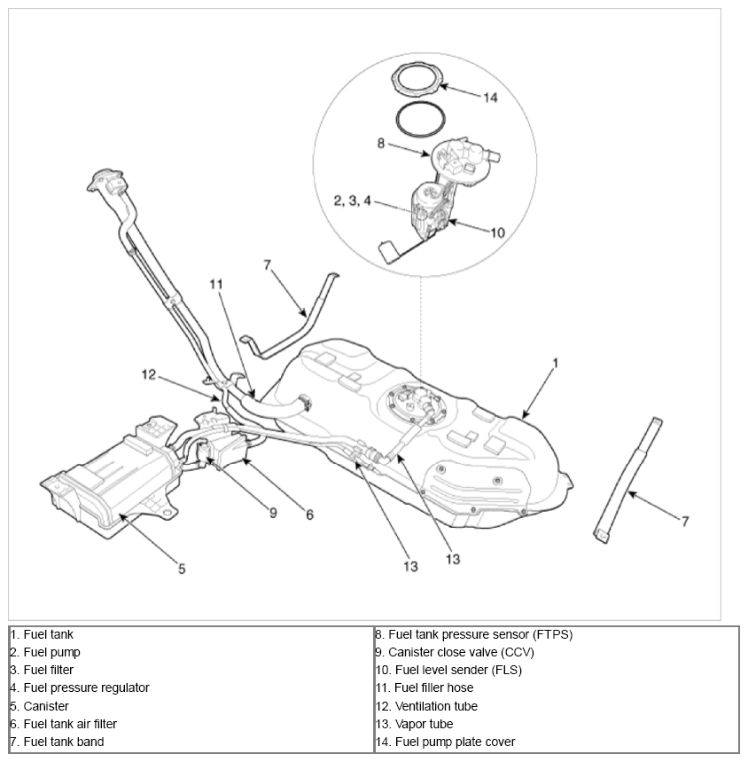 G09779394