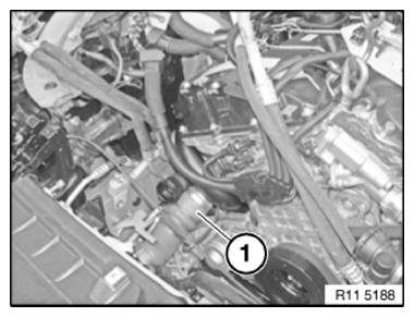 G10041456