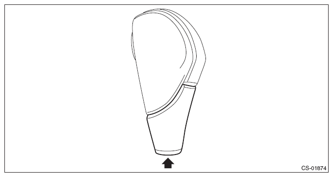 G10274701