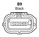 G10279507