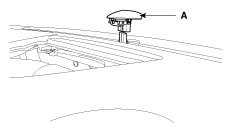 G10369808