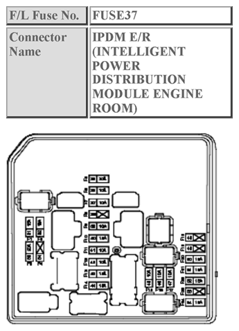 G10392560