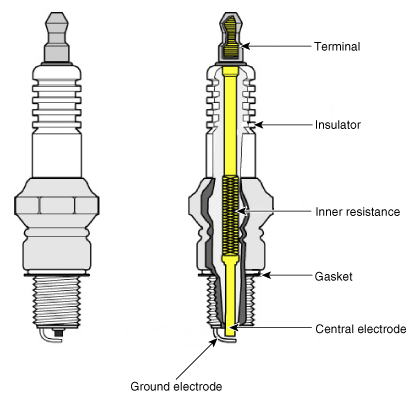 G10716884