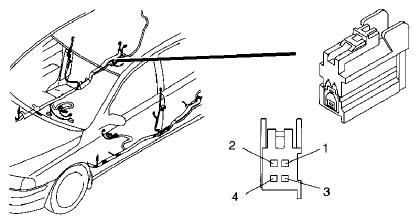 G10807981
