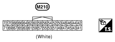 G10841798