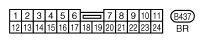 G10847255