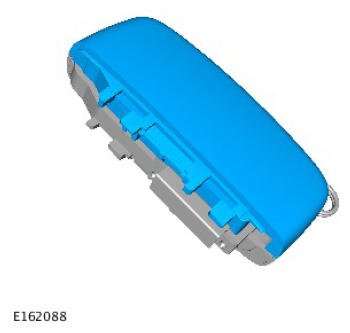 G10907392