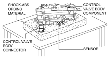 G10937276