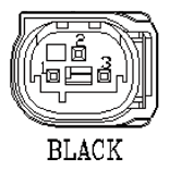 G11013786