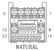 G11042908