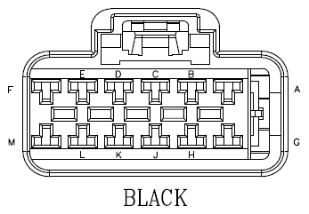 G11043206