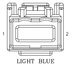 G11043356