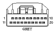 G11049568