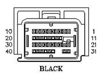 G11053560