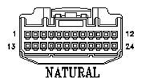 G11053920