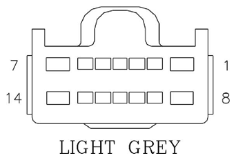 G11061091