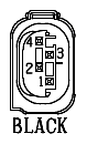 G11068055