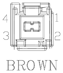 G11073798