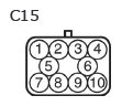 G11133697