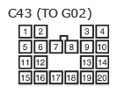 G11133719