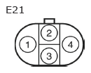 G11133756