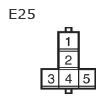G11133760