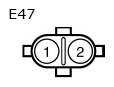 G11133781