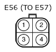 G11133786
