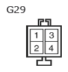 G11133818