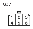 G11133824