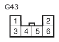 G11133828
