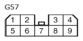 G11133831