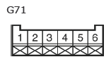 G11133841