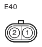 G11134329