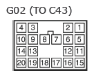 G11134360