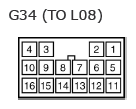 G11134381