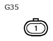 G11134382