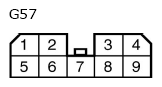G11134390